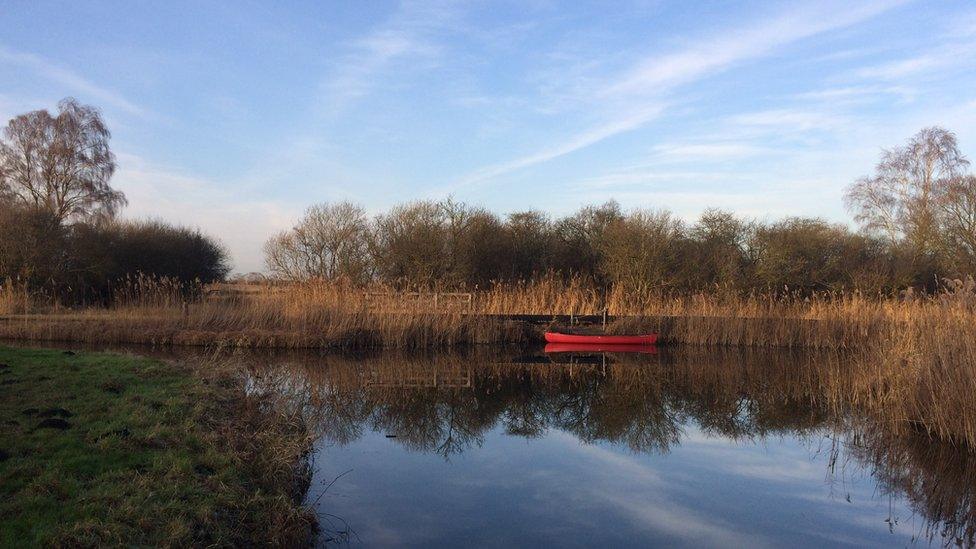 Wicken Fen