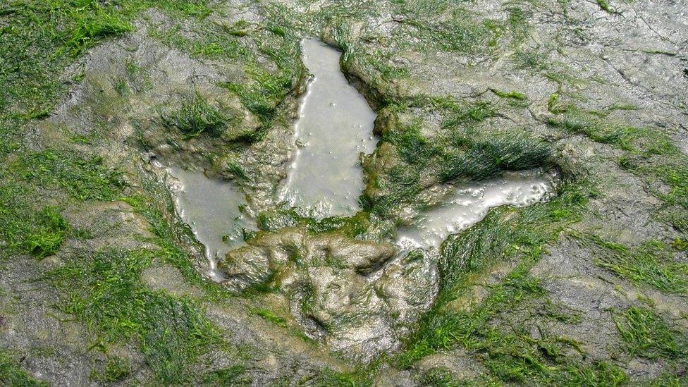 Dinosaur footprint at An Corran