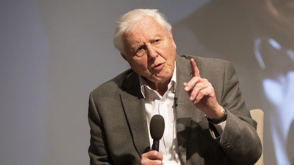 Sir David Attenborough