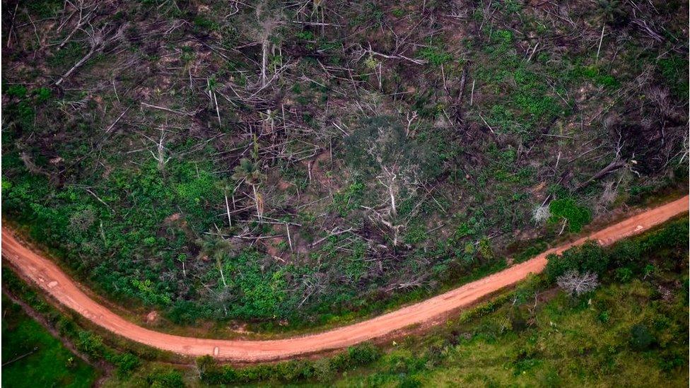 deforestation at the Natural National Park in La Macarena, Meta Department, Colombia