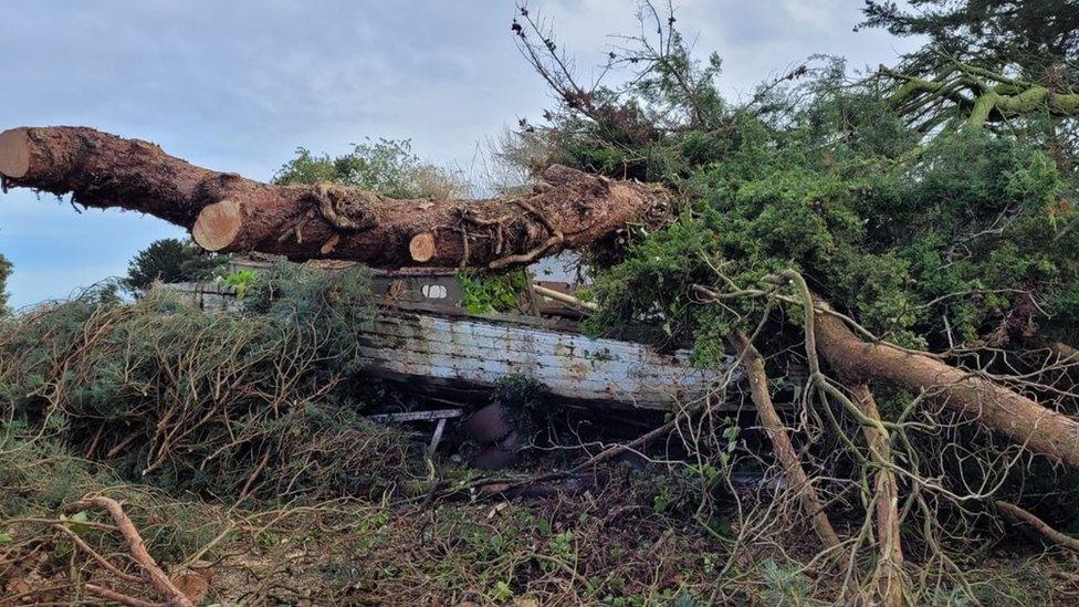 Boat after being hit by a tree