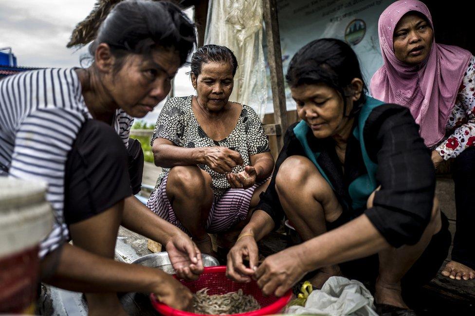 Members of the Trapang Sangke Community prepare fish and shrimp for an evening meal