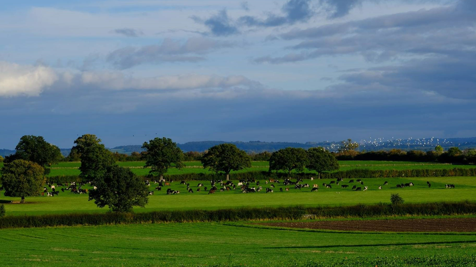 Site of proposed solar farm