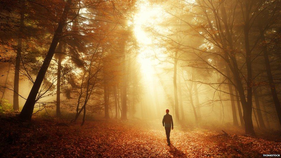 A man walking through the forest alone