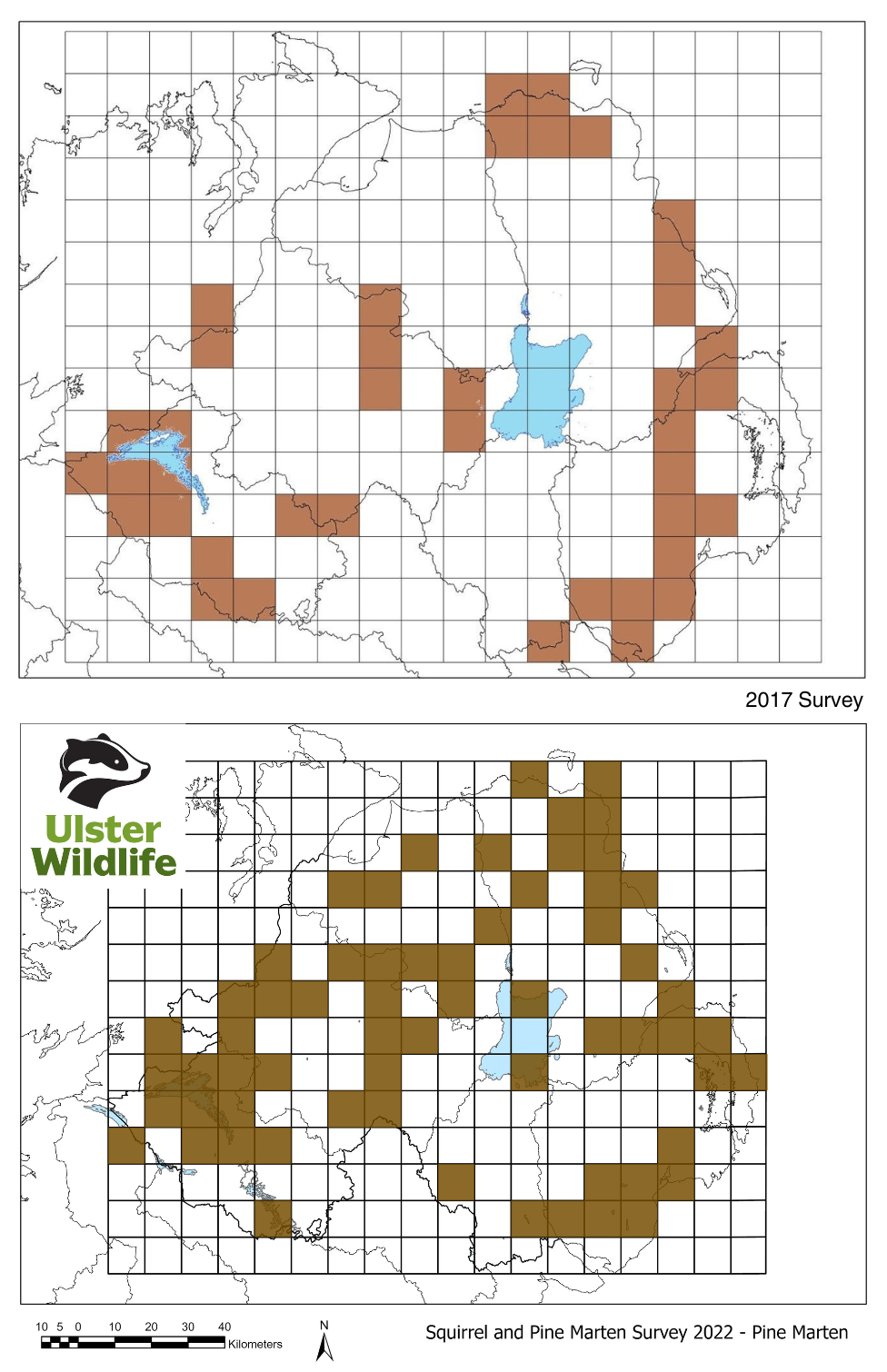 Pine marten population map