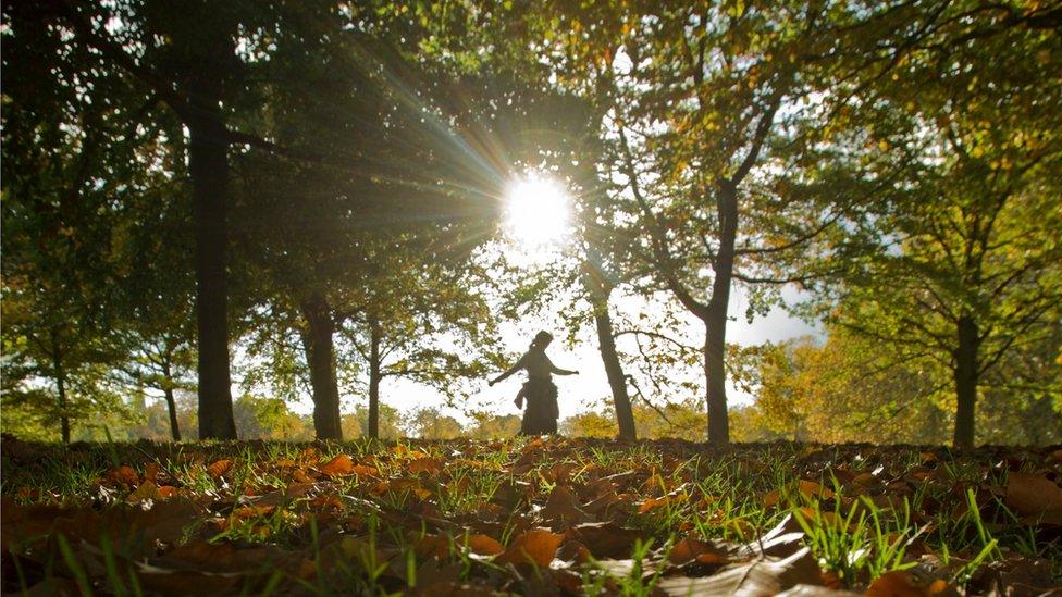 Autumnal weather in Greenwich Park