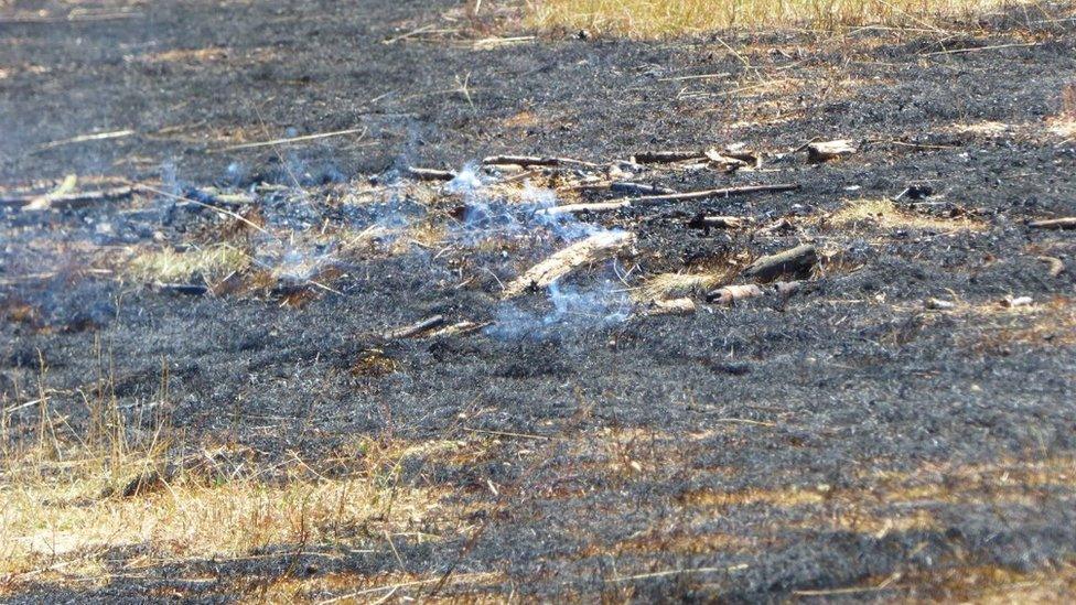 The scene of the fire at Hartsholme Country Park