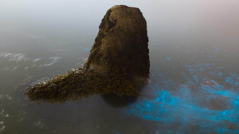 Bioluminescent plankton off Aberavon Beach