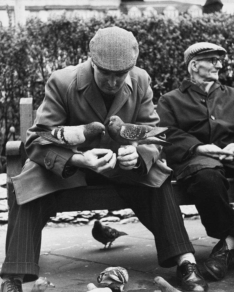 Two men sit on a bench, one with pigeons on his arms