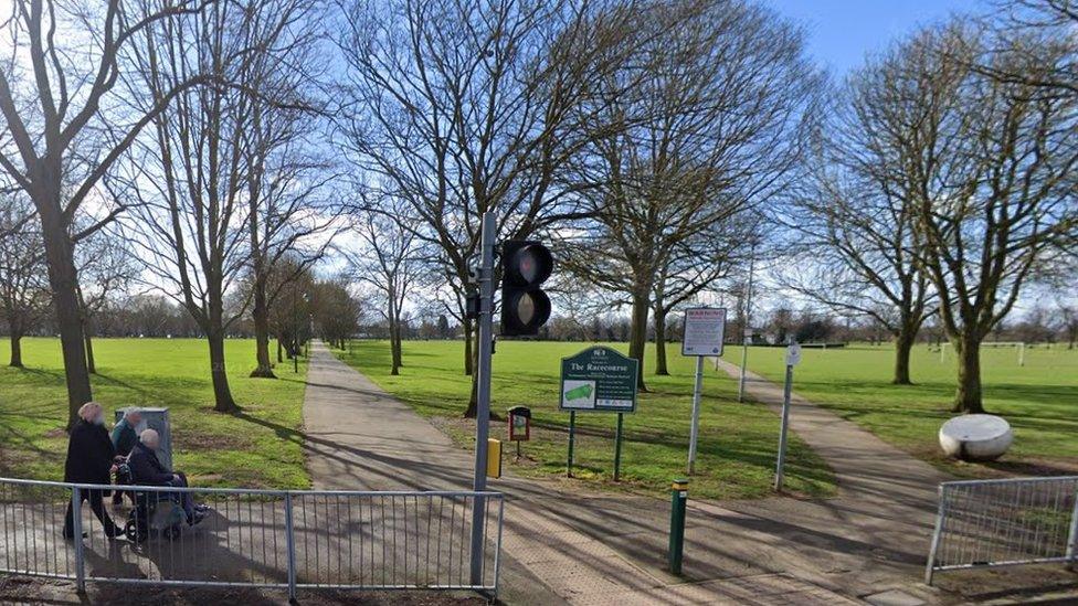 Large green space with paths and trees