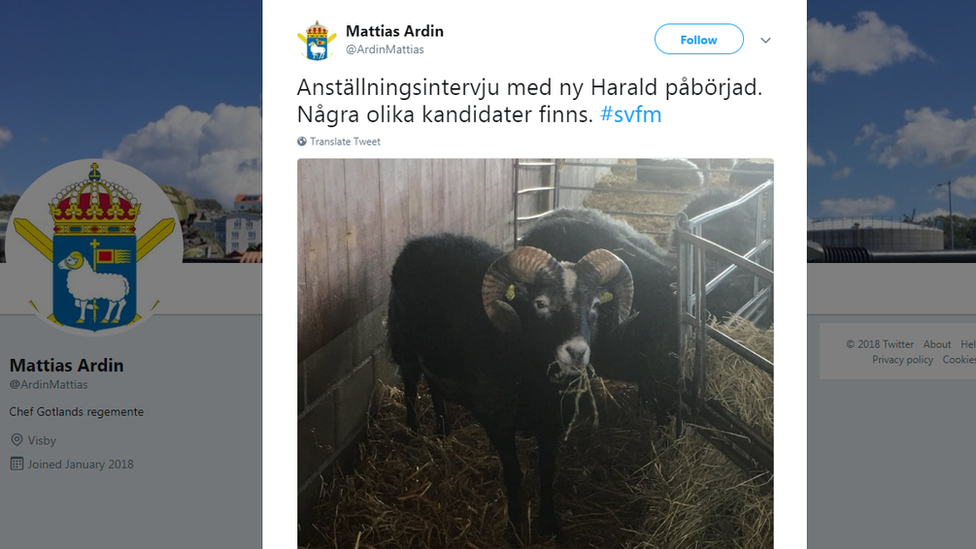 Twitter post about Gotland Regiment mascot recruitment