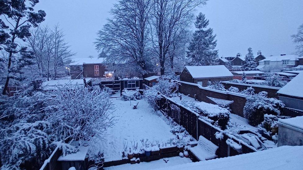 wintery garden scene in Caterham-on-the-Hill