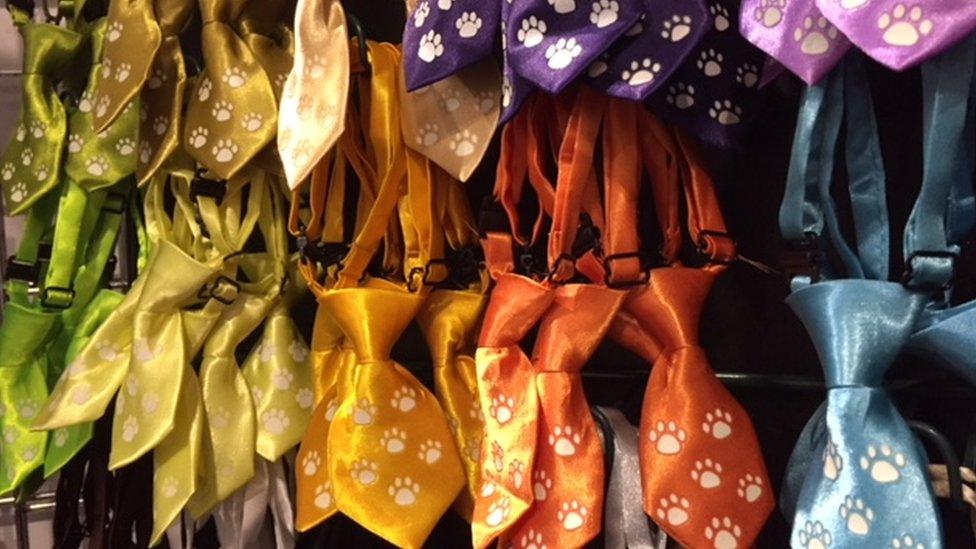 Dog neckties from Petnecks