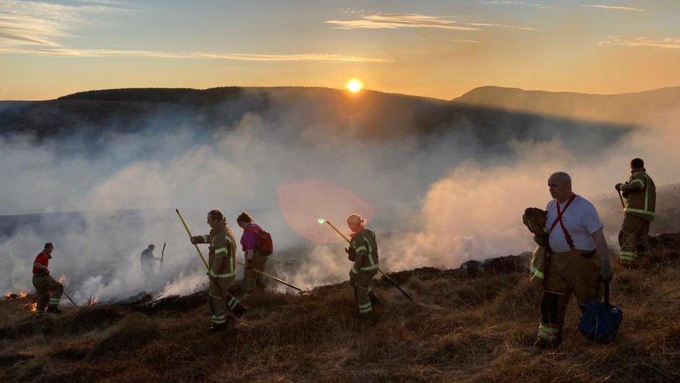 Wildfire near Dornoch