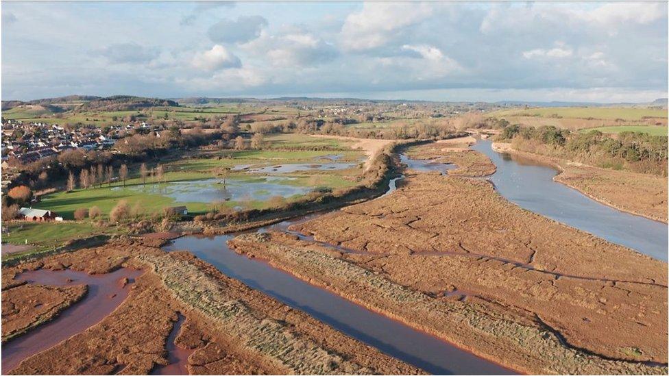 Otter estuary