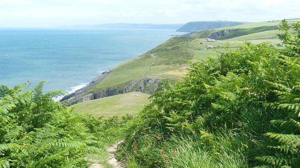 Cardigan Bay