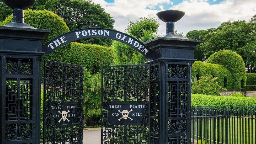 The gates of the Poison Garden