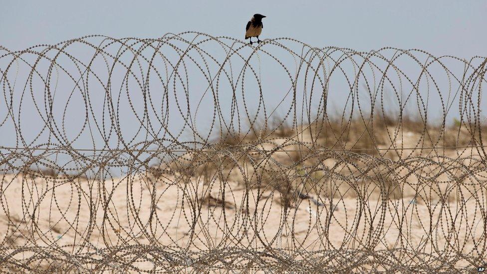 A crow sits on a barbed wire fence on the Mediterranean sea beach front near Kibbutz Zikim, on the Israel-Gaza border (July 2015)