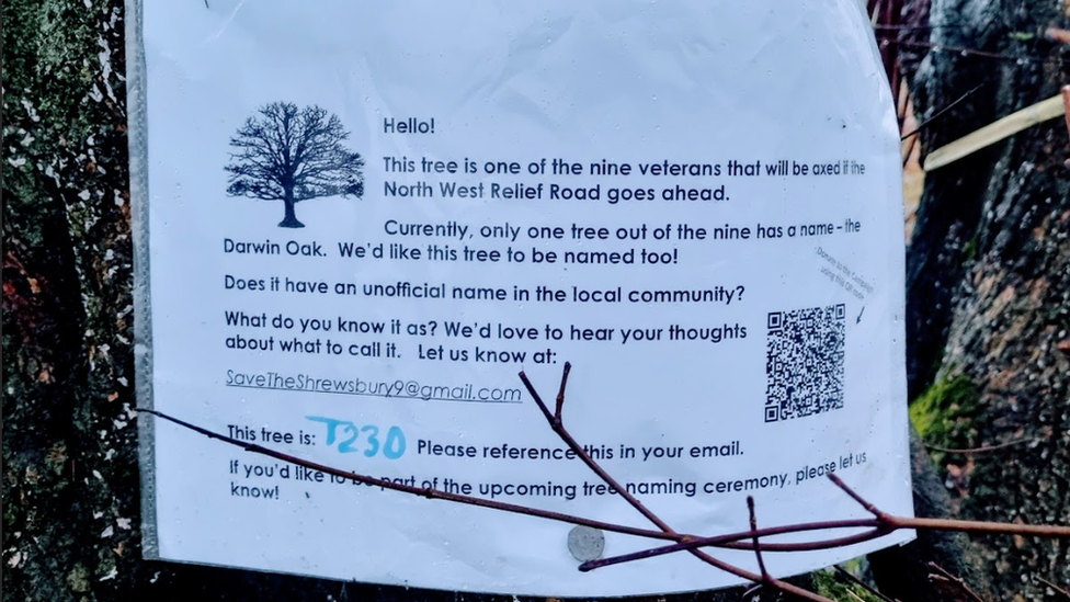 A notice on a tree