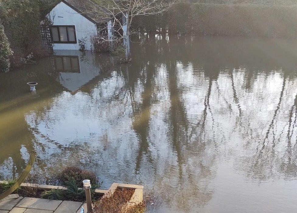 Flooded garden