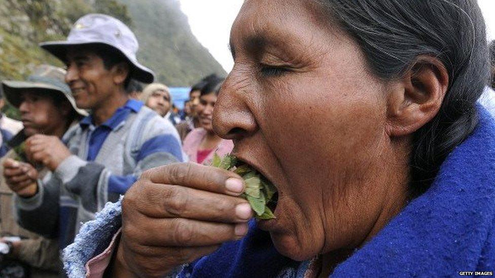 An Aymara woman chews coca leaves on a road near the town of Santa Barbara on 18 October, 2010.