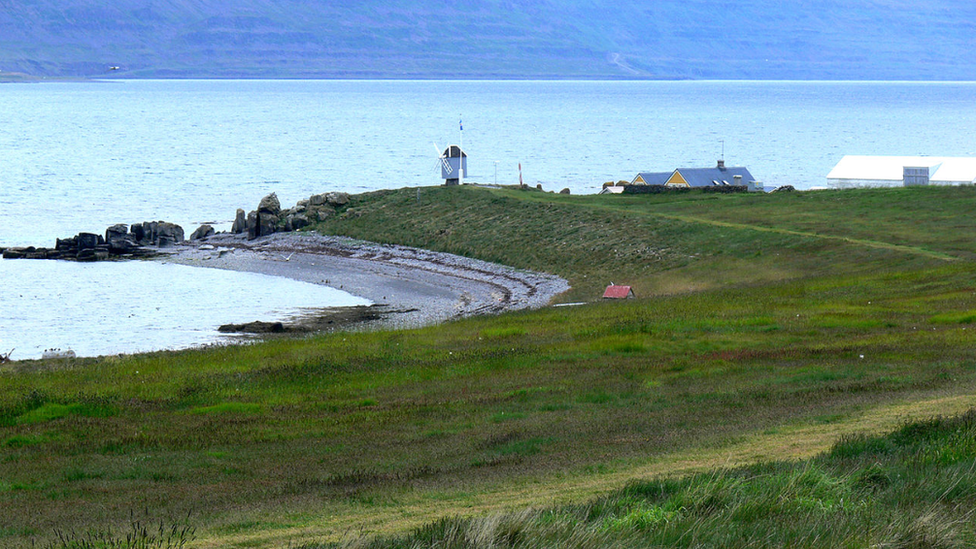 Vigur shoreline, with windmill