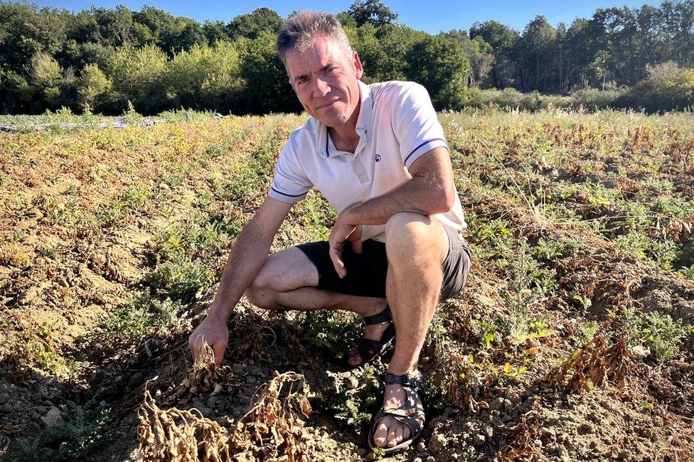 Vincent and his crop