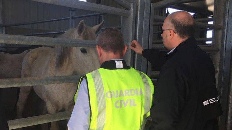 Police with horses