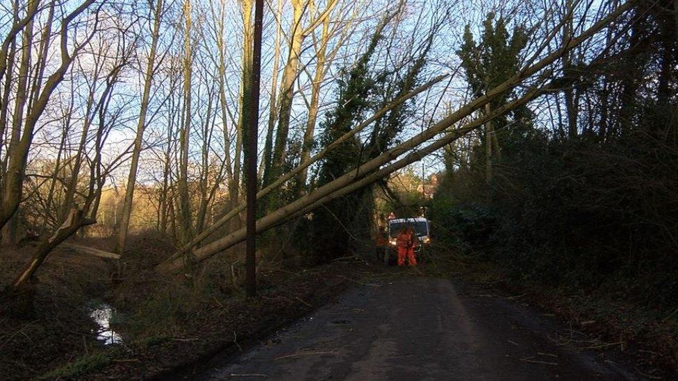 Saddlemakers Lane, Melton