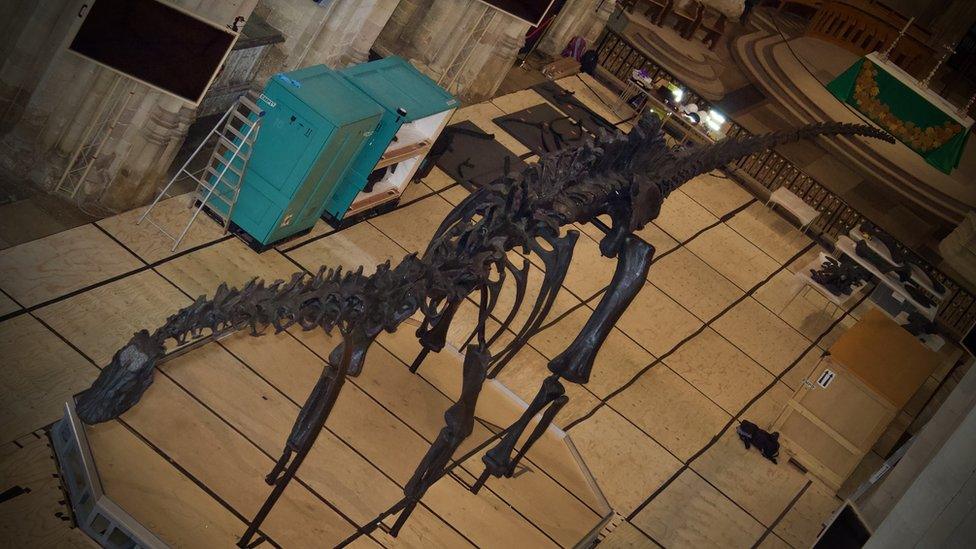 Dippy the Dinosaur in the nave of Norwich Cathedral