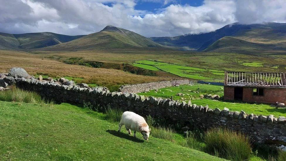 Cafodd Ioan ei fagu yng nghysgodion y Carneddau