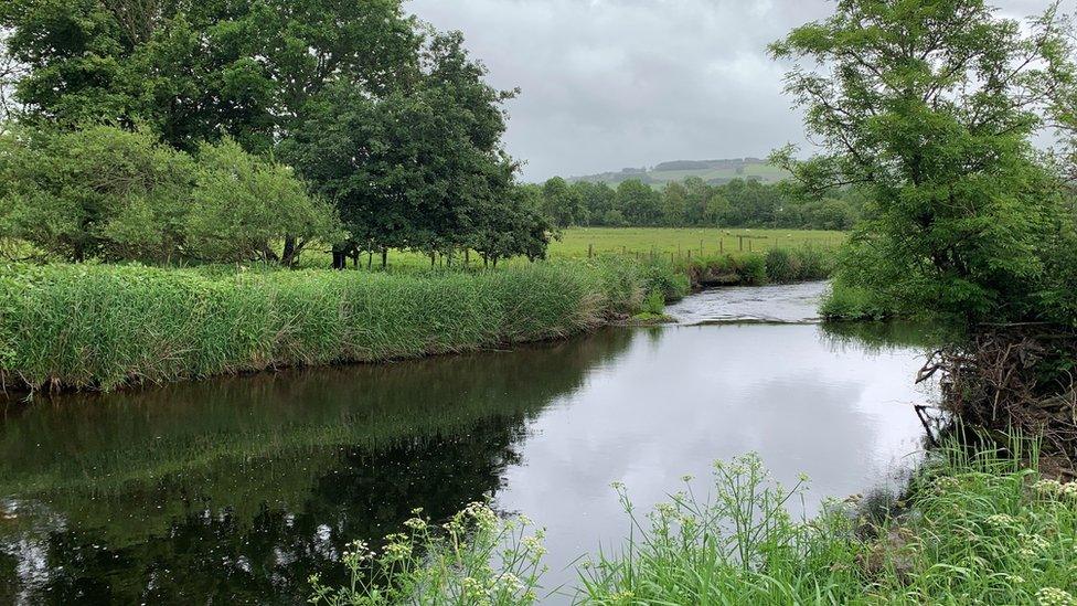 Afon Teifi ger Cwmann