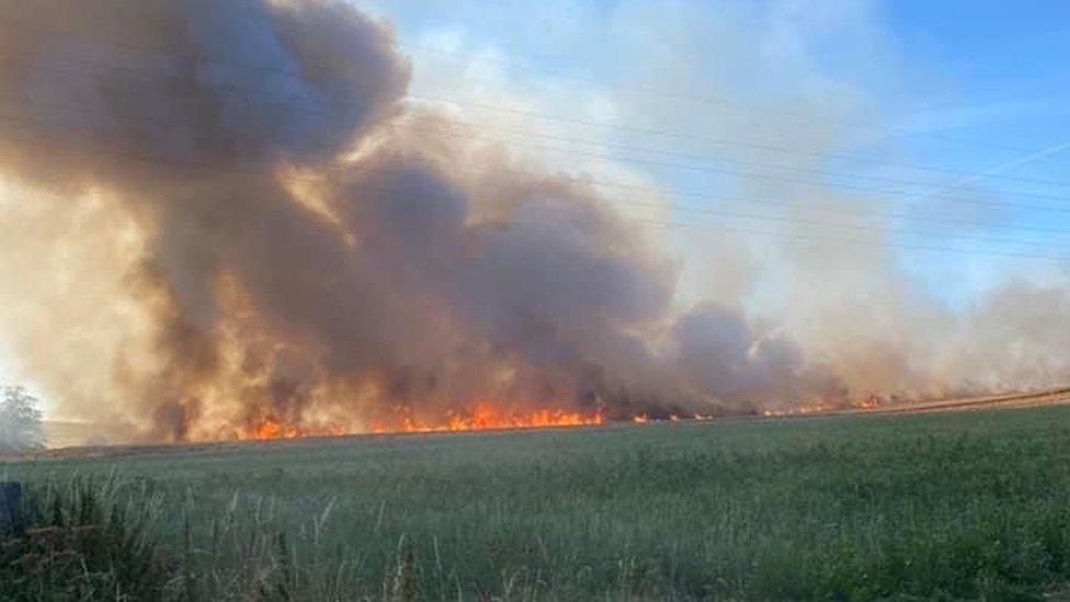 Fire in crop field at Springbottom Farm, near Wilsford