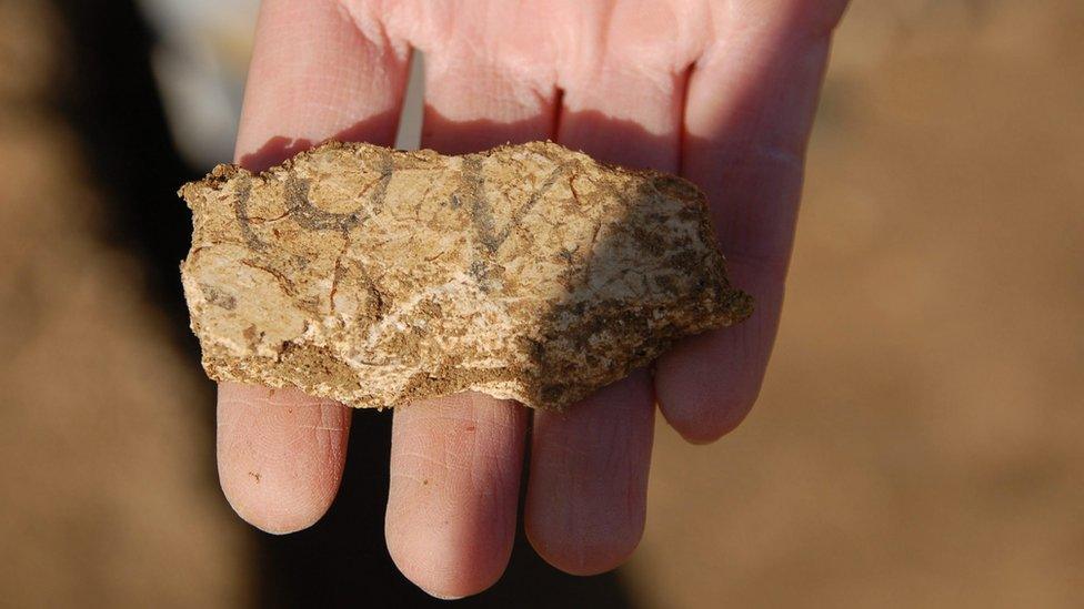 Hand holding fragment of tile