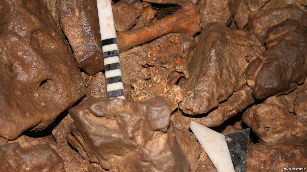 The dog skull inside an ancient burial chamber