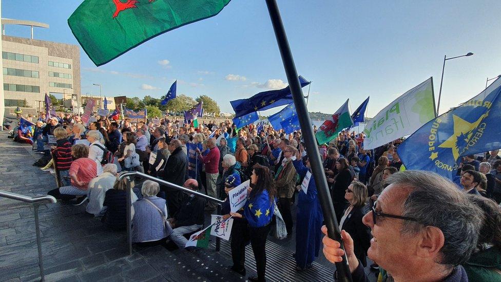 Protest on the Senedd Steps