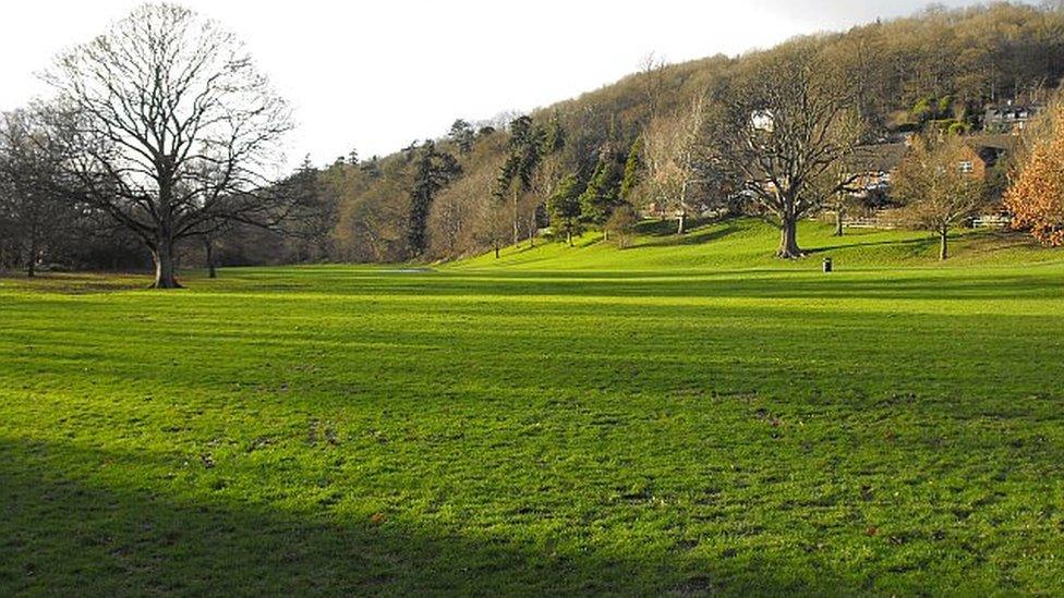 Dolerw Park in Newtown