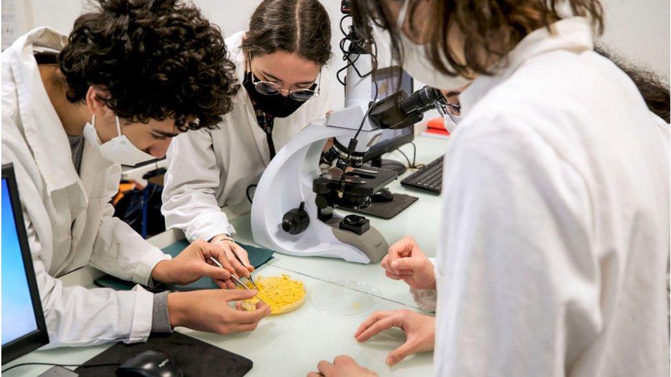 Students studying slime molds in a lab