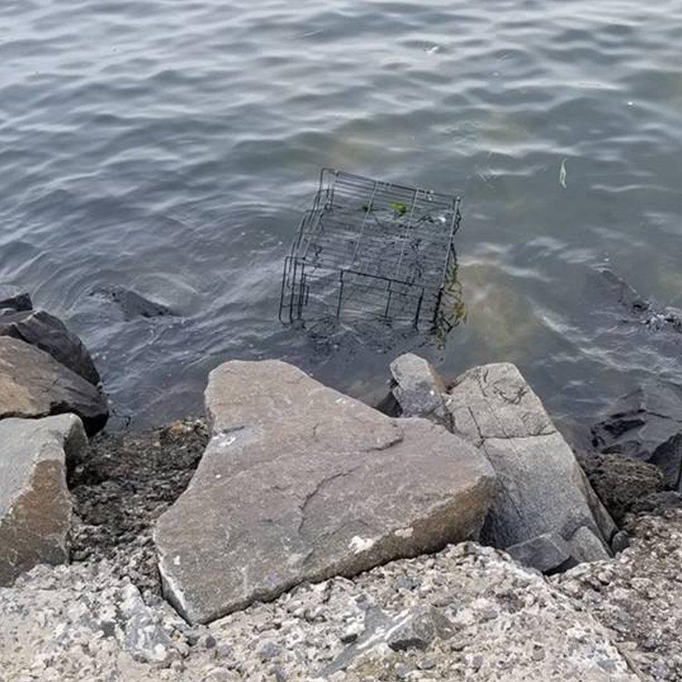 A cage is mostly submerged by seawater.