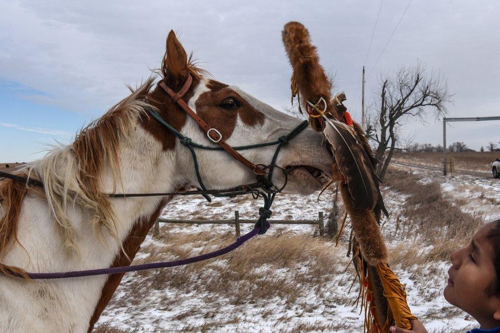 A Lakota boy places a sacred staff near a horse's nose on the Cheyenne River reservation in South Dakota.