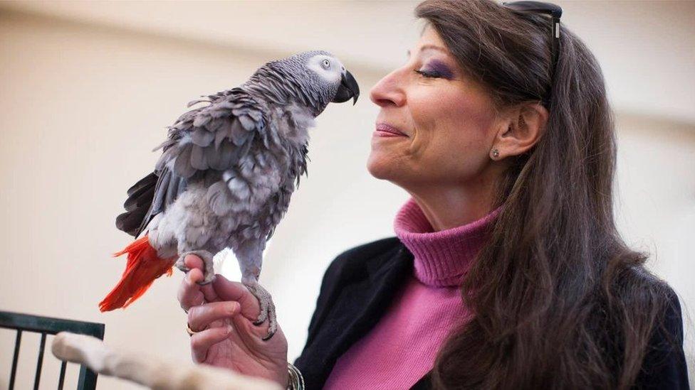 parrot-and-woman.