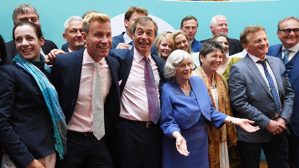 Nigel Farage and Ann Widdecombe celebrate with other Brexit party candidates