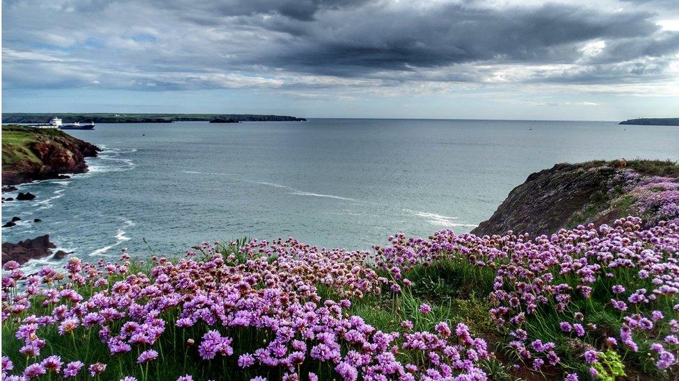 Paul Morgan took this photograph of the view overlooking Lindsway Bay, St Ishmaels, Pembrokeshire.