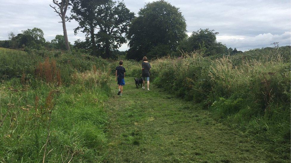 Trails at Mount Stewart