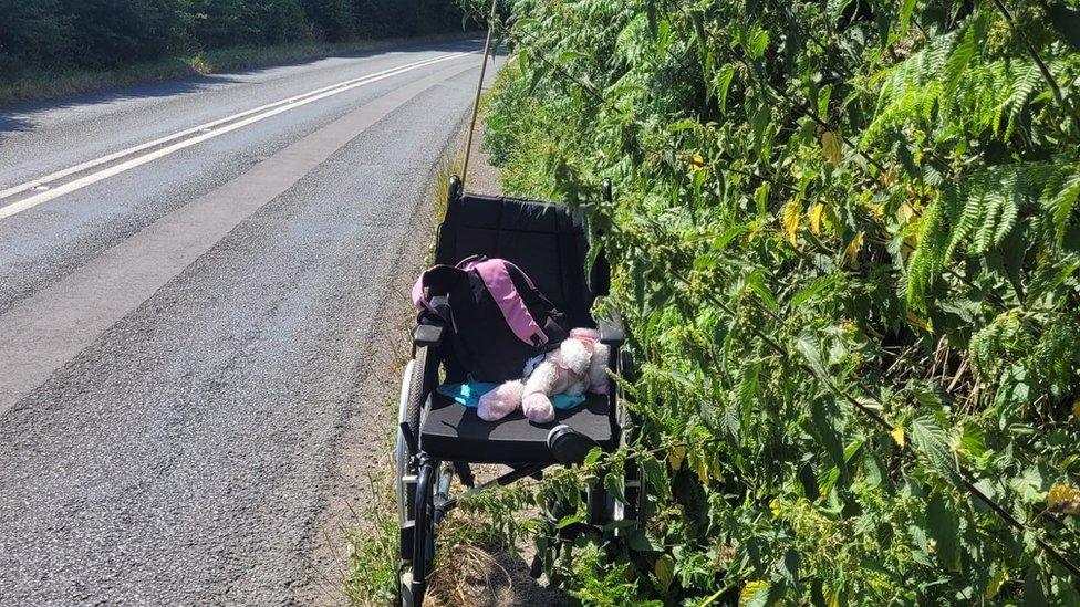 Wheelchair in bushy path