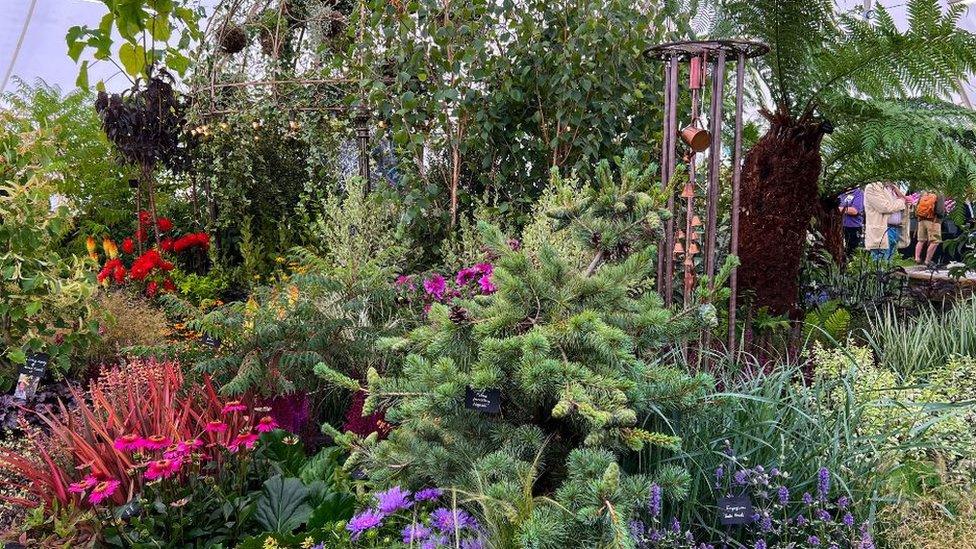 Garden at the Taunton Flower Show