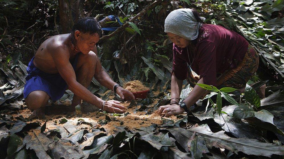 Penan-hunter-gatherers.