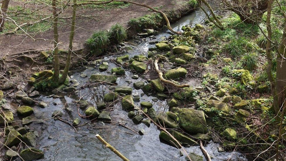 Hookstone Beck in Harrogate