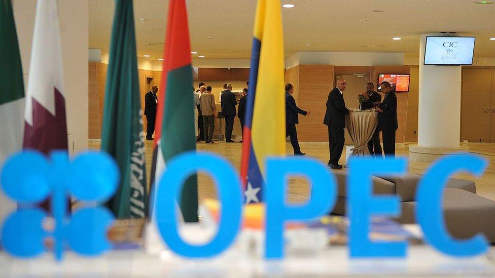 Participants attend the opening session of the 15th International Energy Forum in Algiers on September 27, 2016