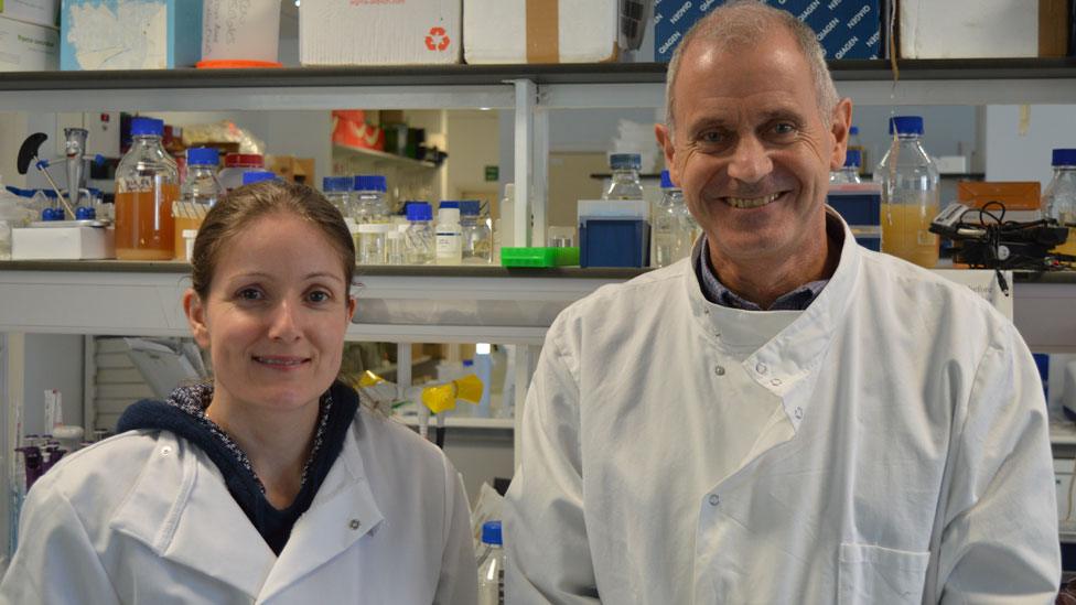 Dr Miranda Whitten and Prof Paul Dyson in their Swansea University lab